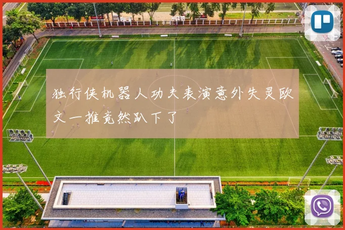 独行侠机器人功夫表演意外失灵欧文一推竟然趴下了