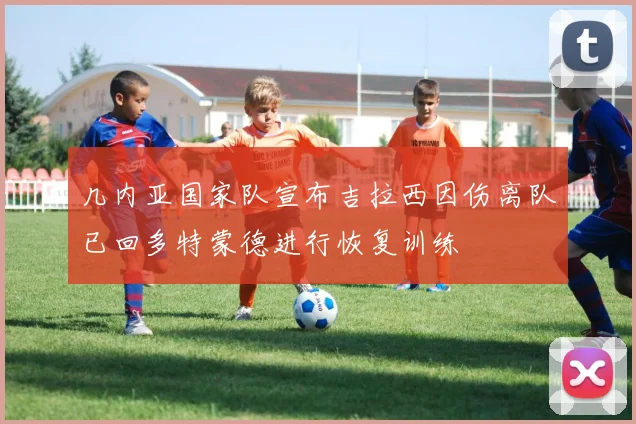 几内亚国家队宣布吉拉西因伤离队已回多特蒙德进行恢复训练