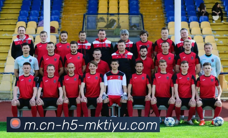 MK体育服务体系